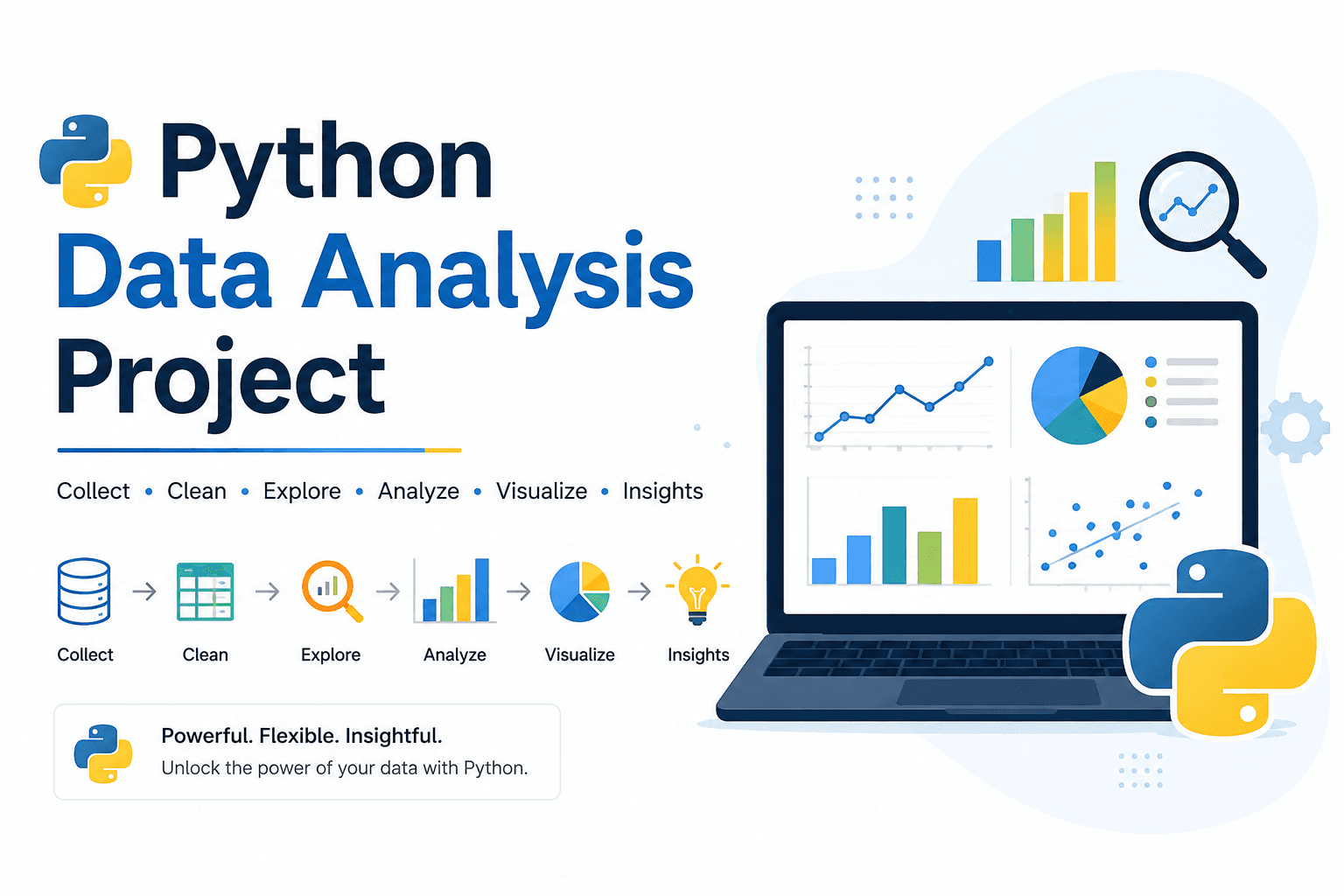 Python Data Analysis Project